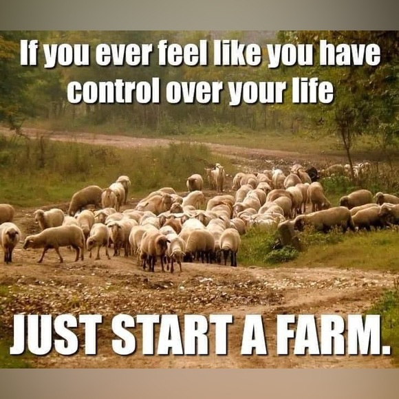 📣Meet your Posher, Natalie and her husband, Russell. 🌟 - Picture 7 of 11